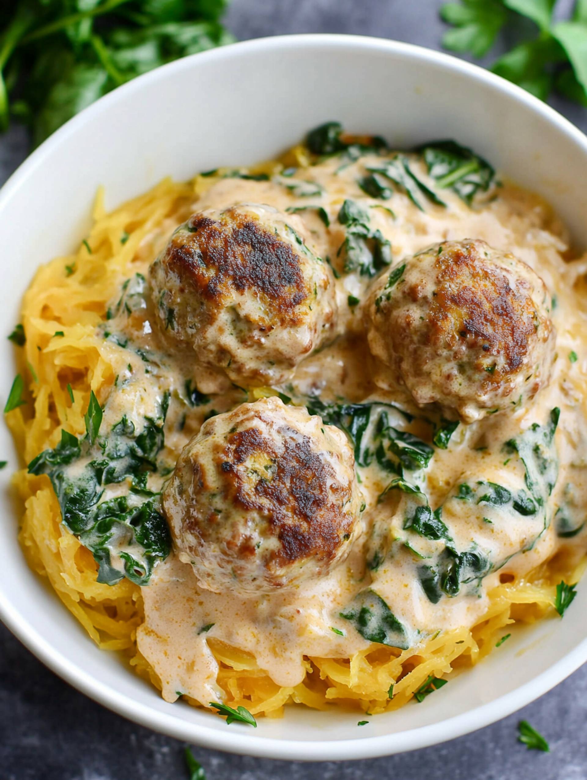 Turkey Meatball Stroganoff [Low Carb]